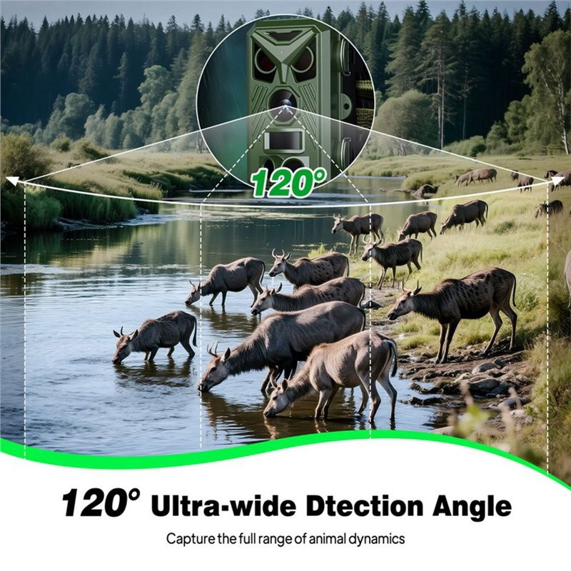 BTLIFE-Wildlife Surveillance 1 - огляд і ціна Trail Camera Infrared