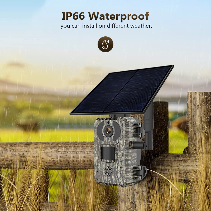 4G 4MP Outdoor Wildlife Huntin - огляд і ціна Trail Camera Infrared
